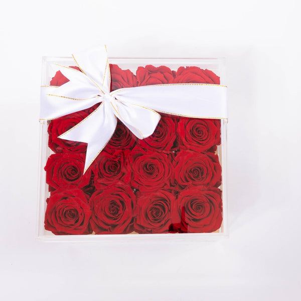 Square plexiglass box