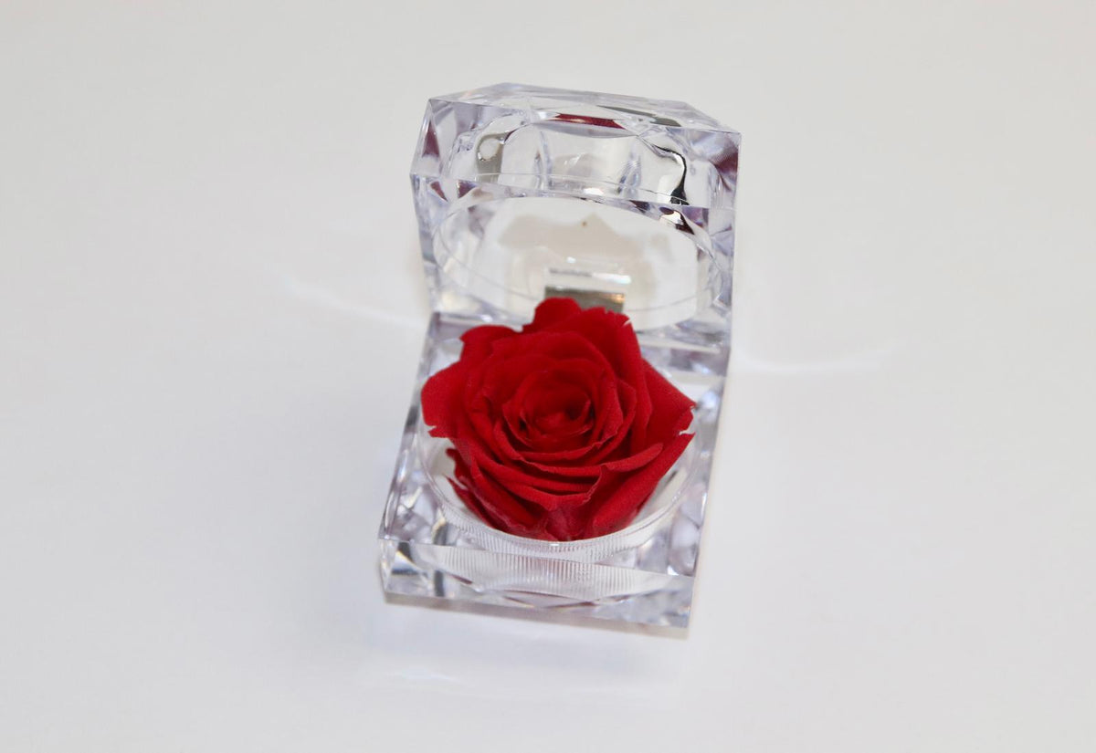 Écrin en diamants