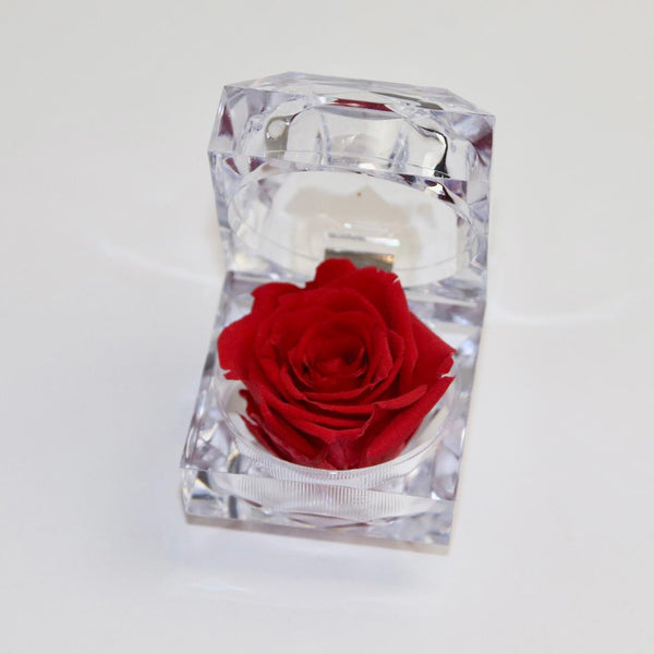 Écrin en diamants